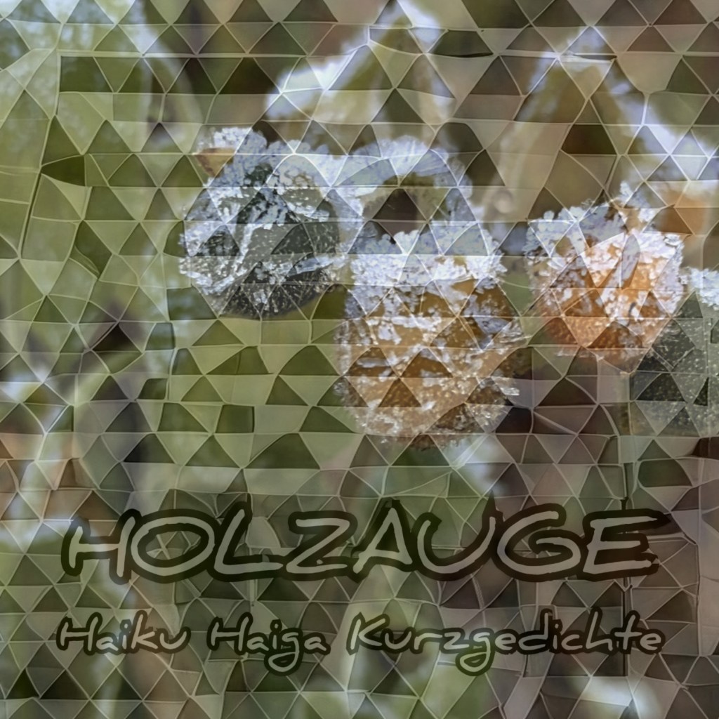 Haiku des Tages vom 19. November&nbsp;2025