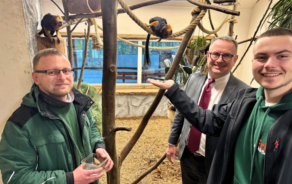 Goldkopflöwenaffen-Pärchen im Tierpark Gera&nbsp;getauft