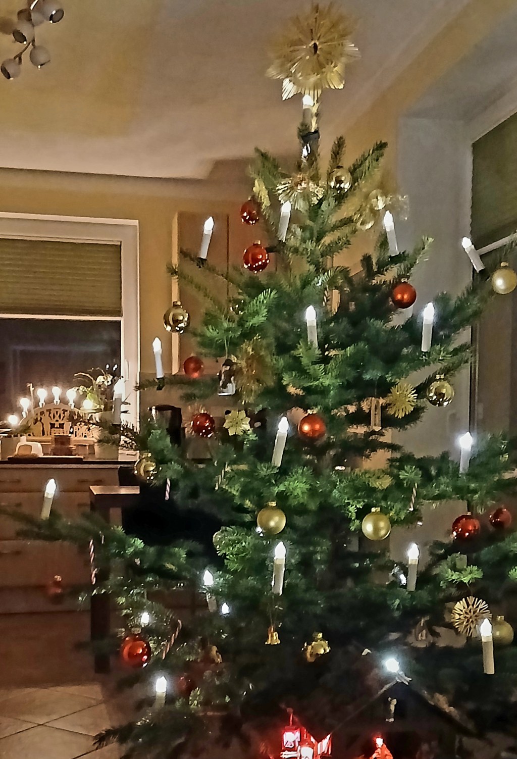 Weihnachtsbaumentsorgung im Vogtlandkreis