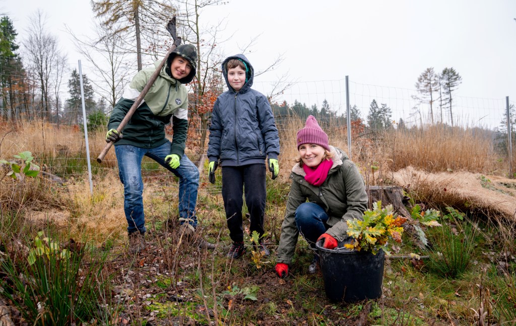 1000 Friedenstein-Bäume gepflanzt