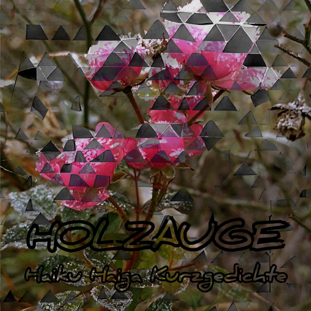 Haiku des Tages vom 3. Dezember&nbsp;2025