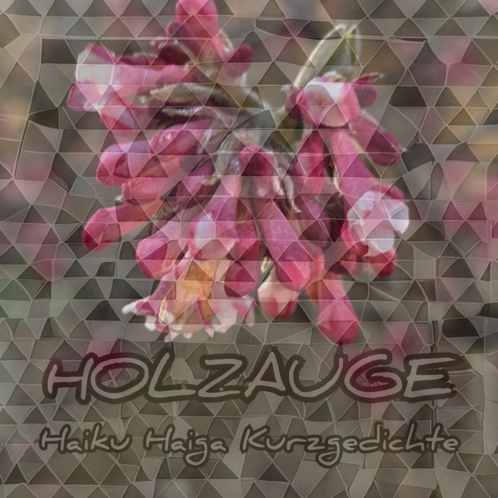 Haiku des Tages vom 24. Januar&nbsp;2026