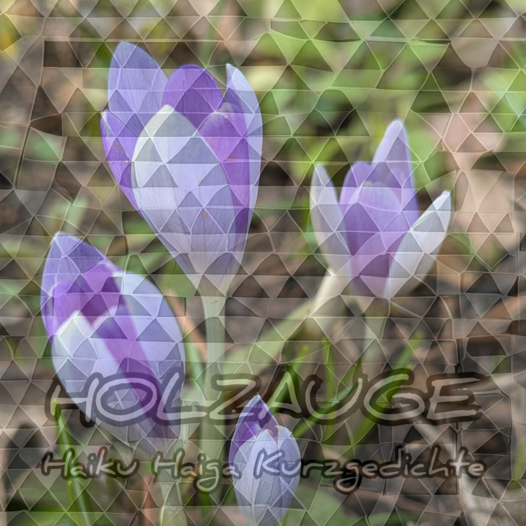 Haiku des Tages vom 23. Februar&nbsp;2026