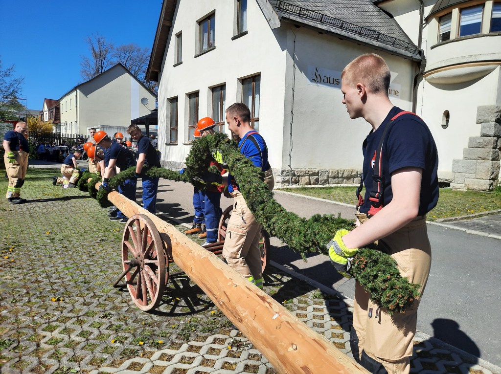 Bernsgrüner Maibäume stehen