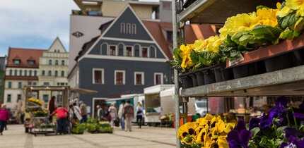 Frischemarkt im Zwickauer Stadtzentrum startet in die&nbsp;Saison