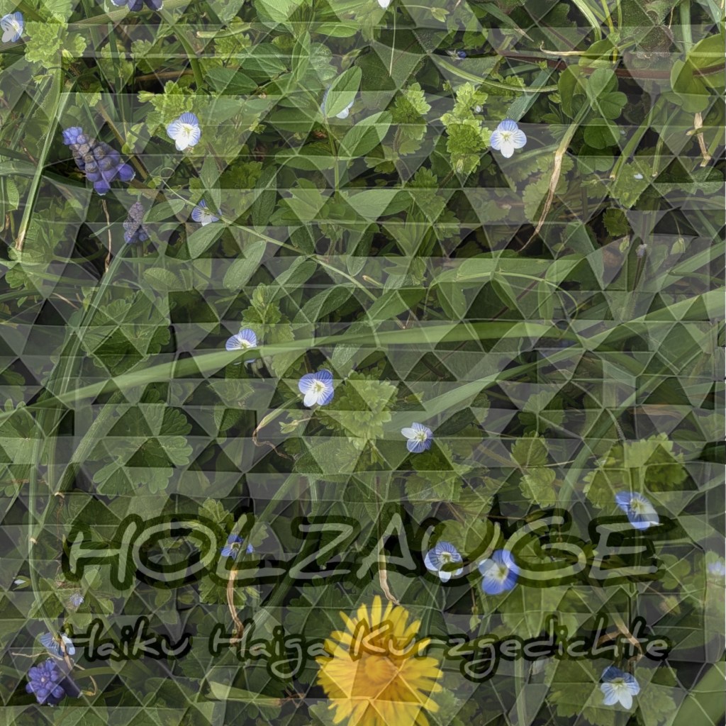 Haiku des Tages vom 6. April 2026