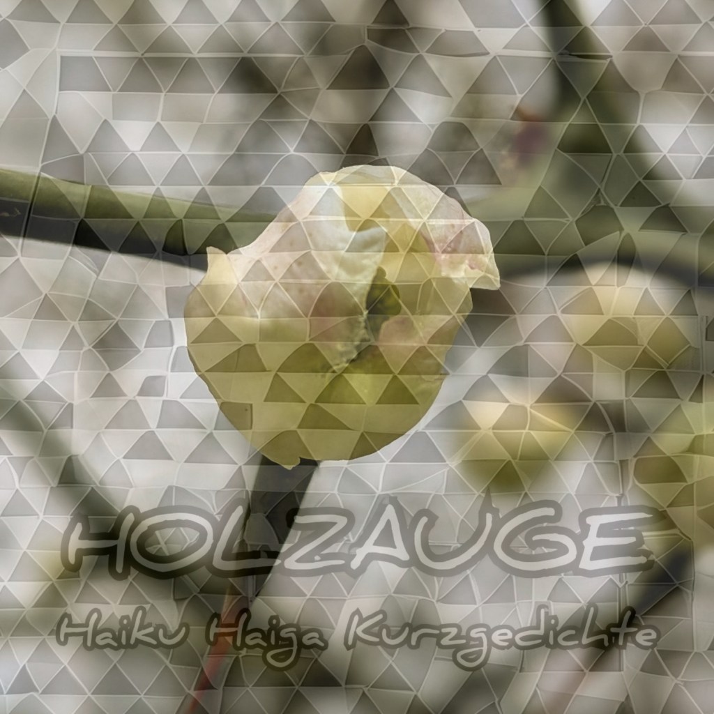 Haiku des Tages vom 13. April 2026