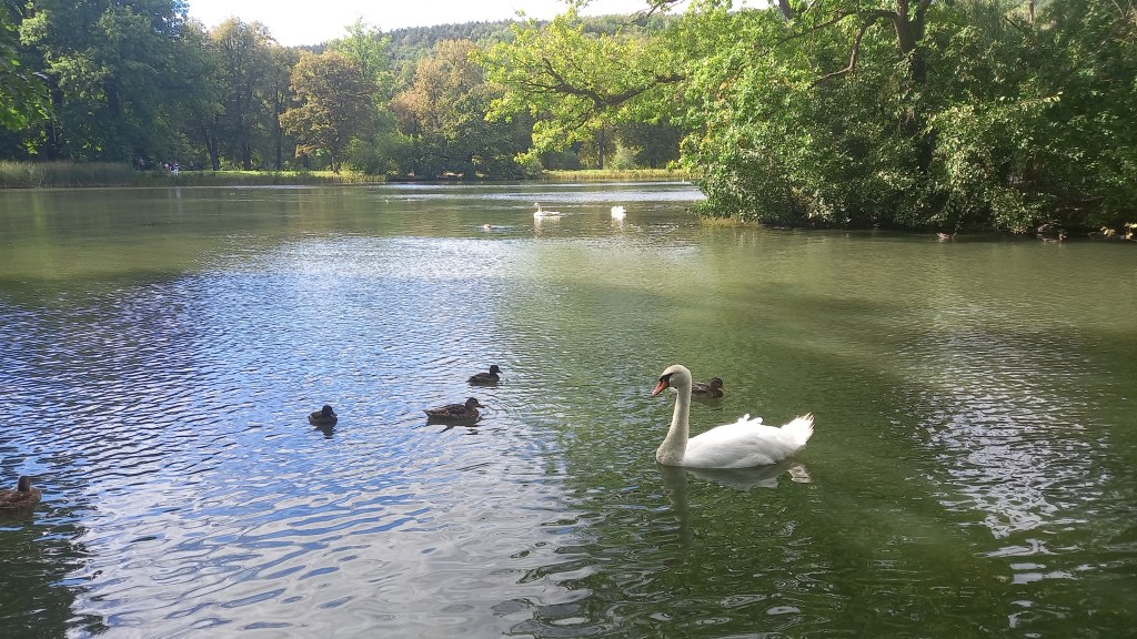 Geführter Rundgang durch den Fürstlich Greizer&nbsp;Park