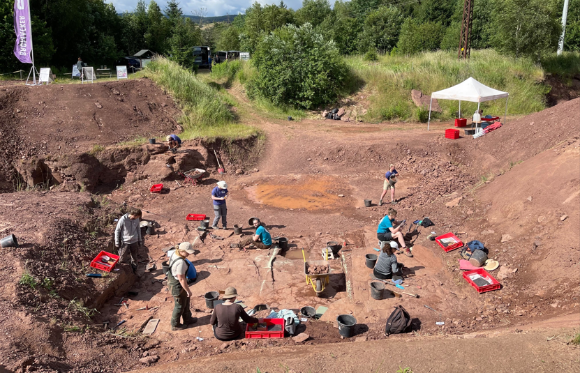 Grabung am Bromacker 2026 zwischen Georgenthal und Tambach-Dietharz abgeschlossen