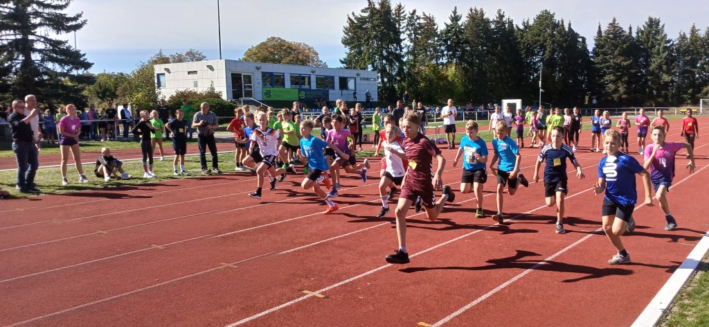 „Jugend trainiert für Olympia“ im Waldstadion Zeulenroda